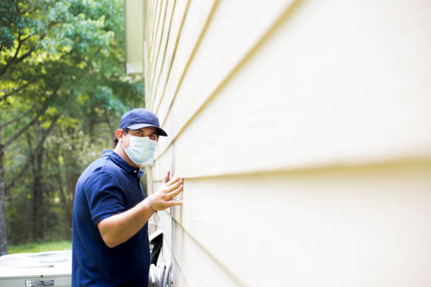 Affordable Siding Repair and Maintenance Services in Johnson City, TN